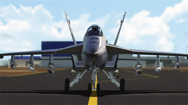 RCS真实空战模拟器截图2