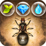 小小蚁国安卓版