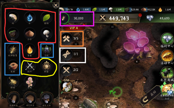 小小蚁国安卓版