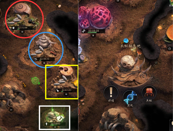 小小蚁国安卓版