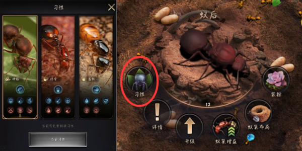 小小蚁国安卓版