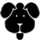 磁力狗搜索神器