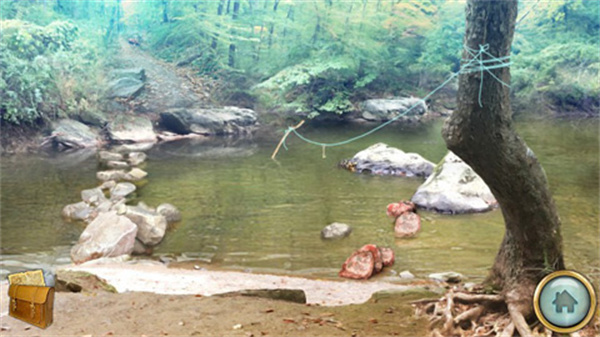 密林溪流截图4