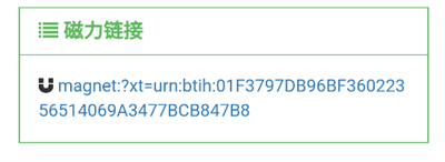 老王磁力手机版