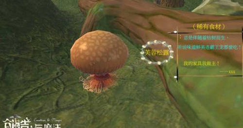 创造与魔法官服