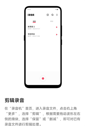 VIVO录音机截图1