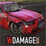 WDAMAGE