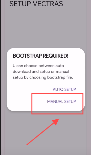 vectrasvm镜像win11