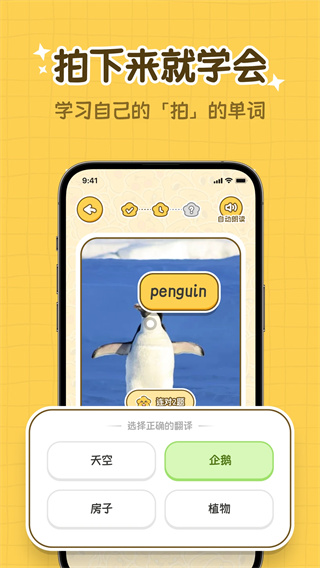 拍拍单词截图2
