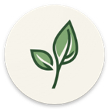 levilauncher启动器