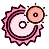 齿轮辅助羽霖咲华