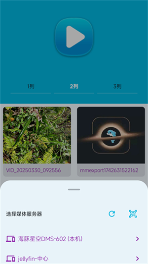 海豚星空投屏截图1