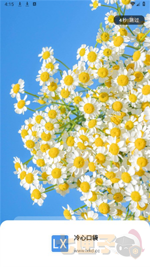 冷心口袋1.1.5版本