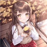 番薯动漫纯净版