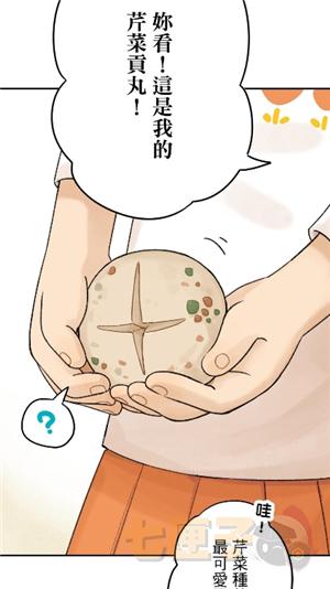 ccc追漫台纯净版