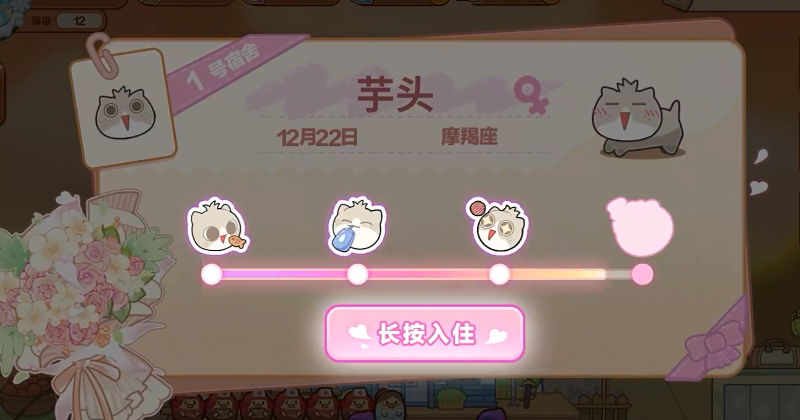 我的完美猫旅截图2