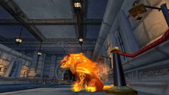 魔兽世界时光服火猫怎么获得