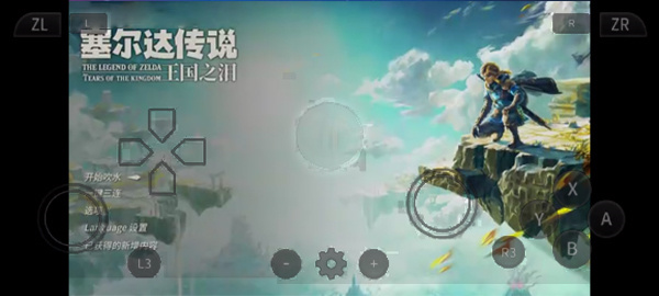 呆萌switch模拟器截图1