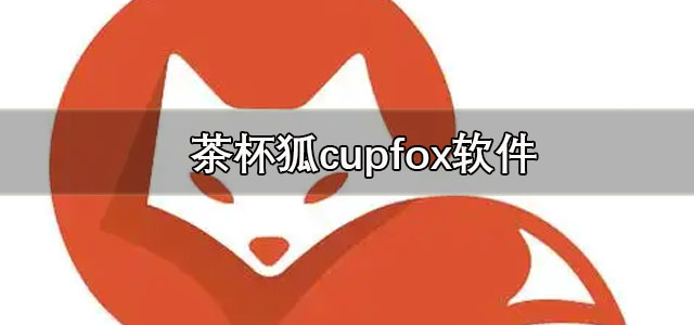 茶杯狐cupfox