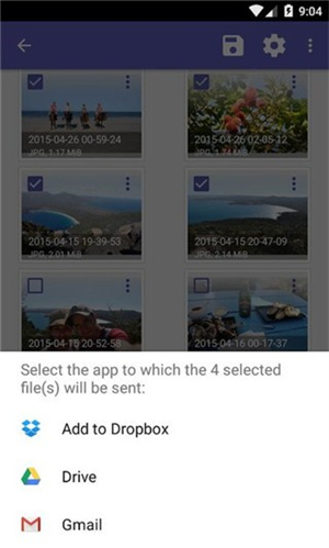 Diskdiggerpro安卓版截图3