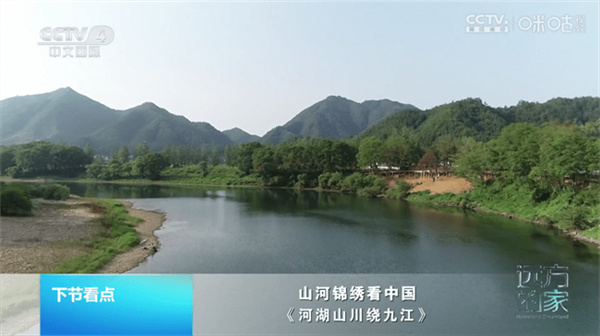 蜂蜜直播TV截图1