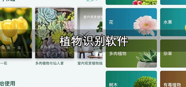 植物识别软件