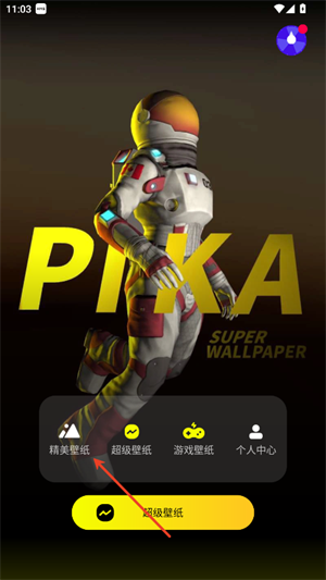 皮卡超级壁纸绿化版