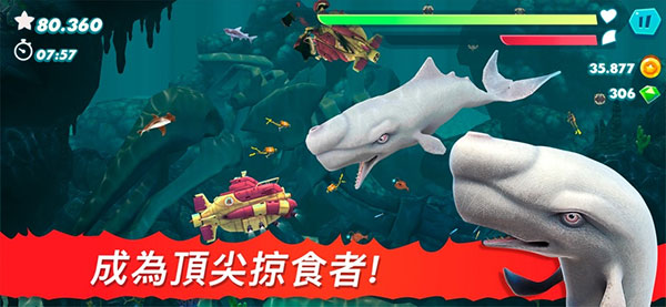 饥饿鲨截图2