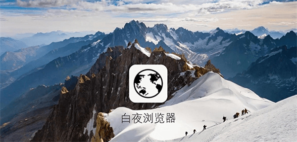 白夜浏览器安卓版截图2