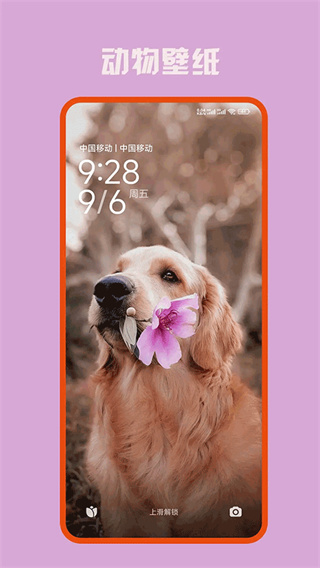 口袋免费壁纸截图4