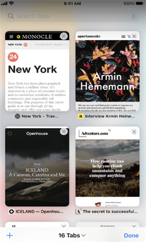 safari安卓版截图2