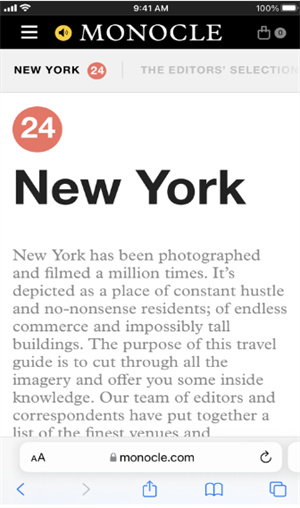 safari安卓版截图1