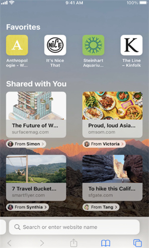 safari安卓版截图3