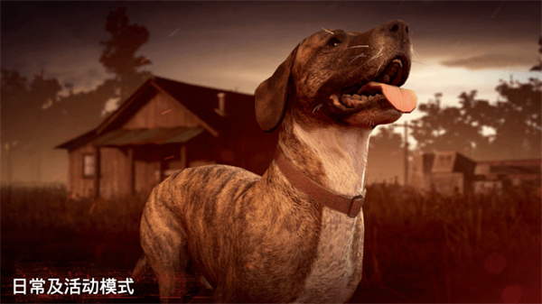 勇闯死人谷2汉化版截图5