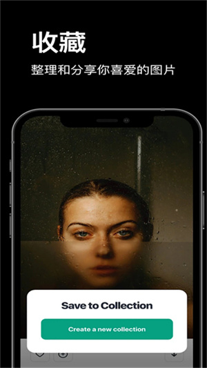 pexels手机版截图2