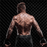 真实摔跤汉化版