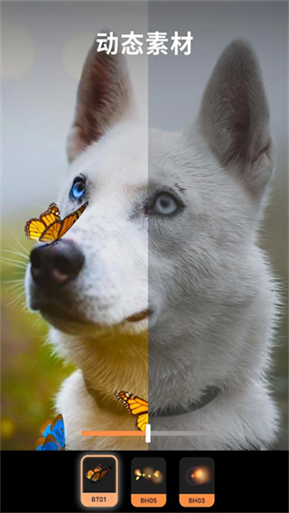 Motionleap动图制作截图5