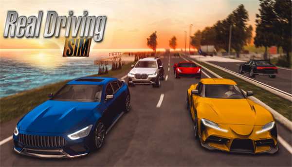 真实驾驶模拟器手机版截图1