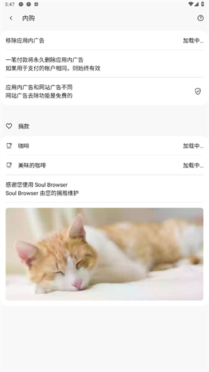 灵魂浏览器最新版本截图2