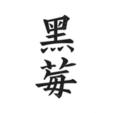 黑莓浏览器旧版本