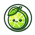 Lime3DS模拟器安卓版