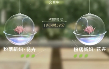 恋与深空家园怎么换男主