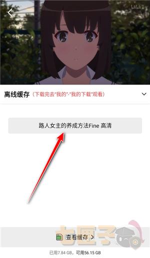 海洋视频纯净版