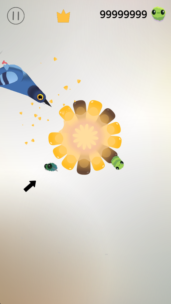 疯狂的鸽子截图2