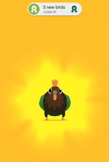 pigeonpop疯狂的鸽子