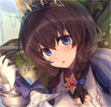 圣骑士莉卡物语手机版