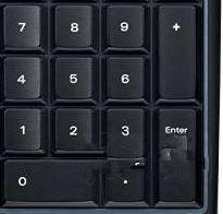 我和她的世界末日手机版