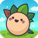 大头菜菜历险记