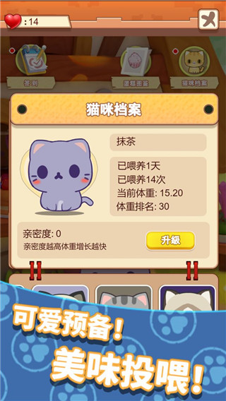 养只大肥猫截图1