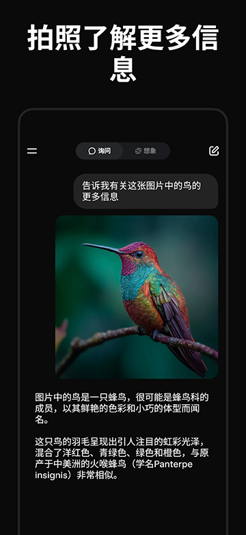 grokai安卓手机版截图2